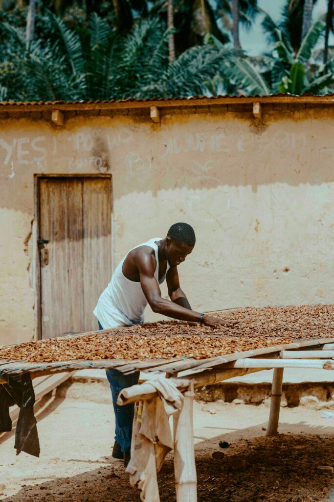 pexels zeal creative studios 58866141 31283901